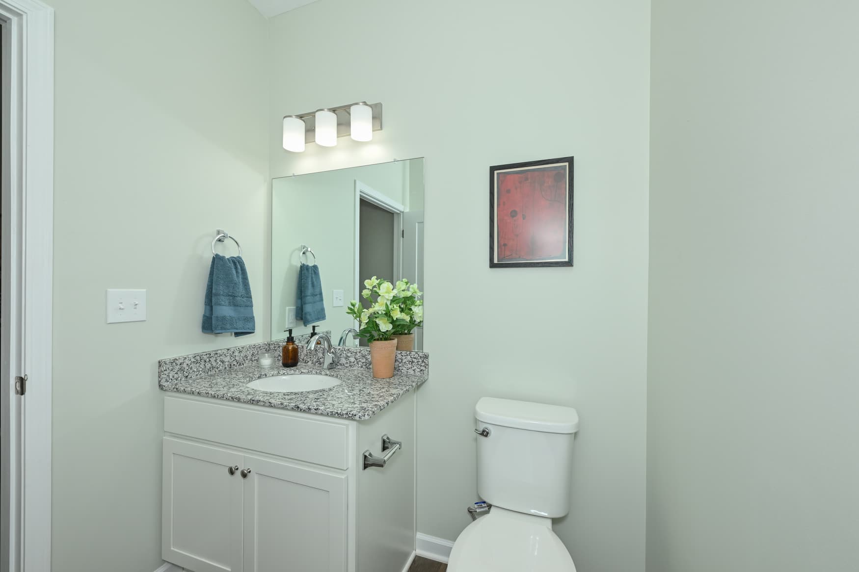 3BR Townhome powder room vanity photo